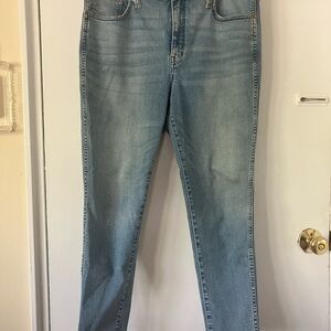 Madewell 10” Roadtripper Blue Skinny Jeans